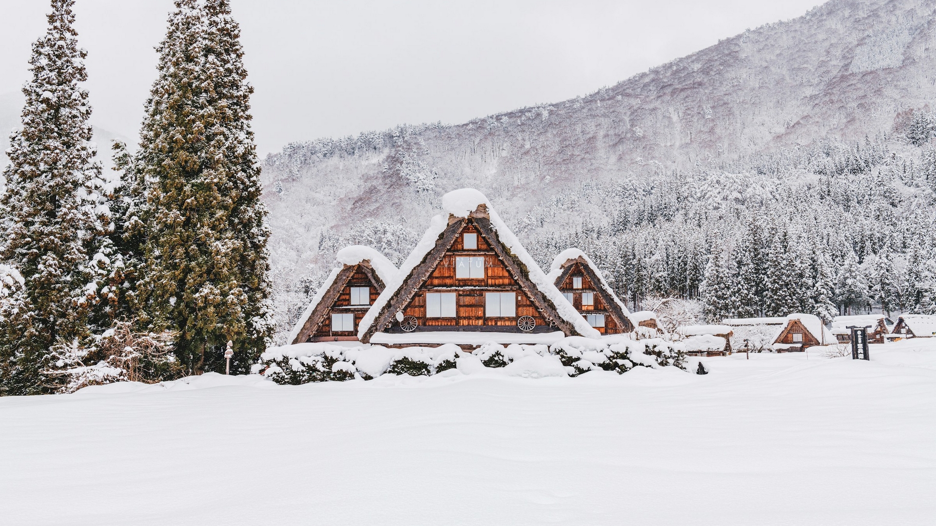 Dia 10: Takayama - Shirakawago - Kanazawa